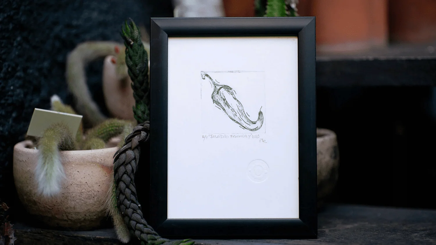 Registro de la serie Grabados Botánicos, imagen 5