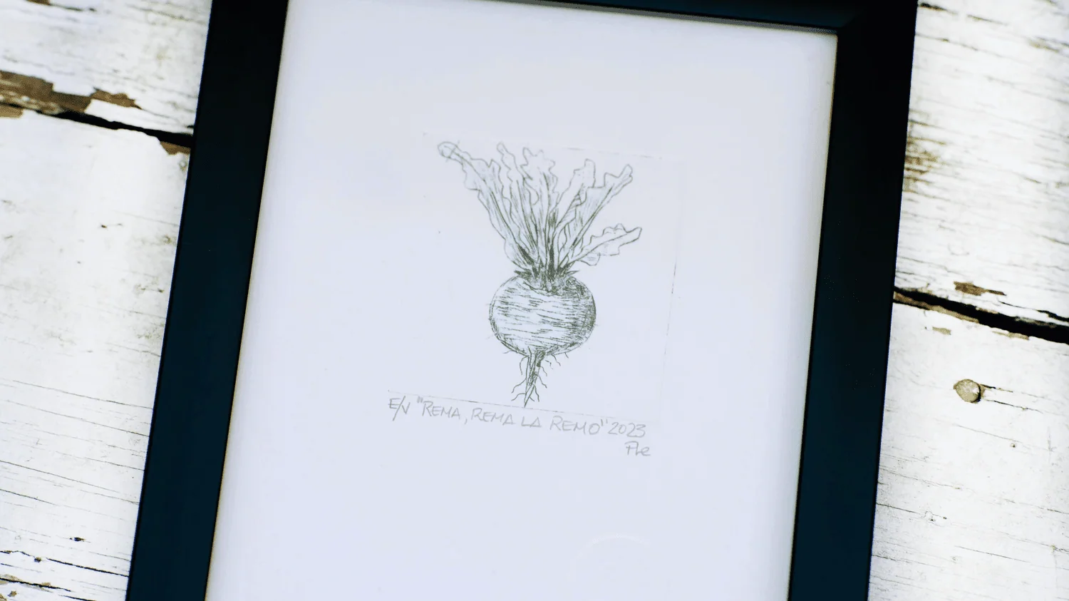 Registro de la serie Grabados Botánicos, imagen 6